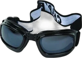 Chapel Black G-904 Goggles w/Smoke Lens