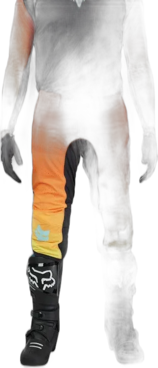 Fox Racing Flexair Grid Pants, black orange
