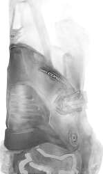 Fox Motion Boots, Black