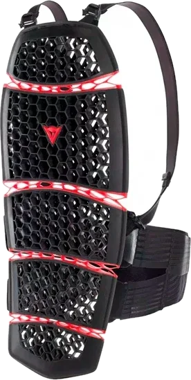 Dainese Pro-armor Back Long 2.0 Protector