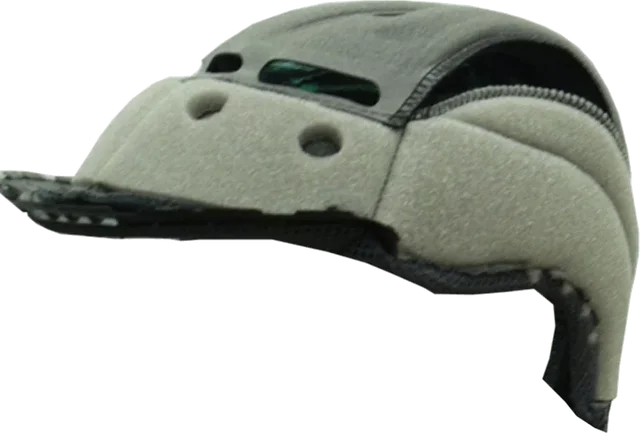 Shoei NXR / NXR2 Type E Helmet Centre Pads