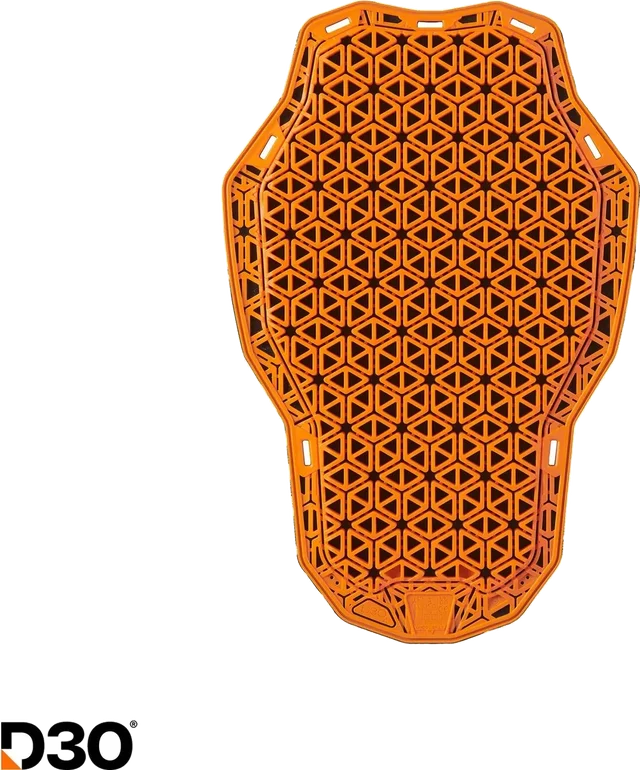 ICON D30® Ghost Level 1 Back Guard