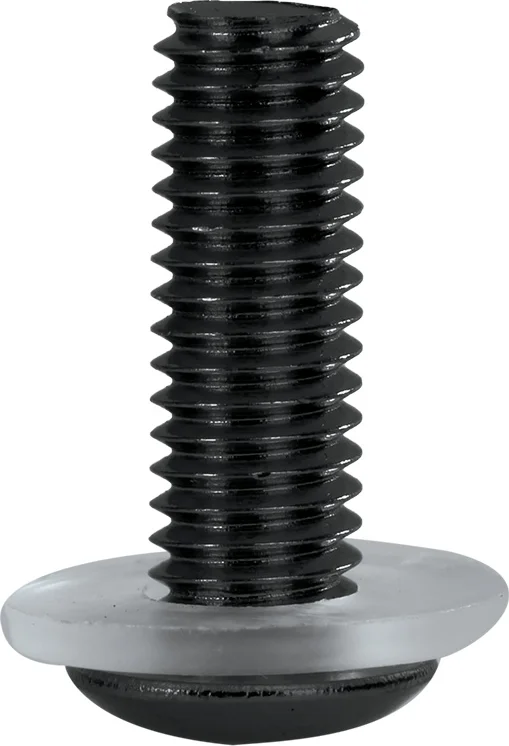 Oxford Screen Screw, black