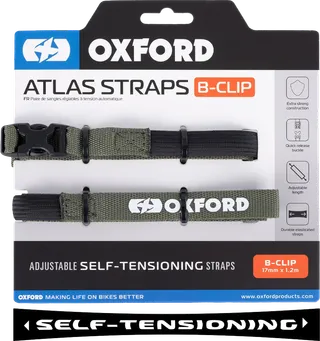 Oxford Atlas B-Clip - Lichen (Pair)